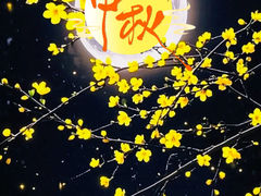-苏州太湖西山岛开心农场
