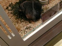 -龙猫仔乐园(惠福东路店)