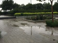 -大港湿地公园