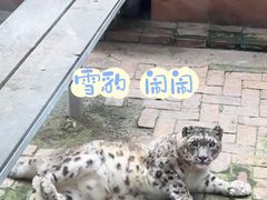-青藏高原野生动物园