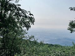 -北京西山国家森林公园