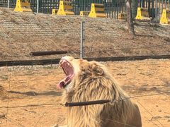 -秦皇岛野生动物园