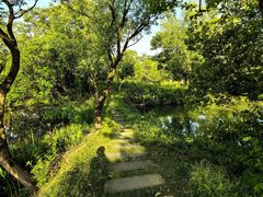 -西溪国家湿地公园