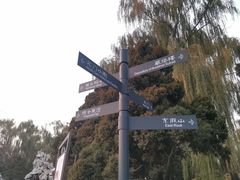 -迎泽公园
