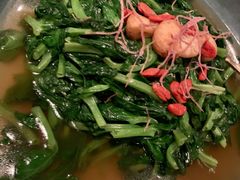 酒香豆苗-三号黄浦会Canton Table