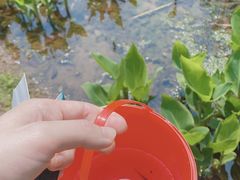 -重庆彩云湖湿地公园