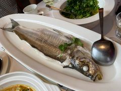 清蒸白水鱼-张福记(五一公园店)