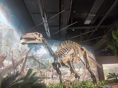 -辽宁古生物博物馆
