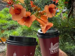 -龙华素斋(龙华路店)