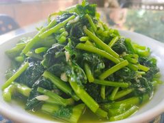 野菜南瓜藤-国生茶庄·地道农家菜团建活动