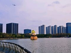 -南翔镇银翔湖公园