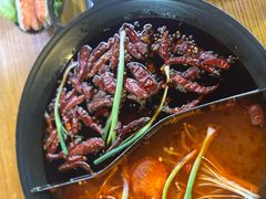 -乖嬢嬢重庆老火锅(南联店)
