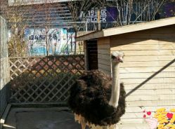 -萌宠亲子动物乐园(槐房万达店)