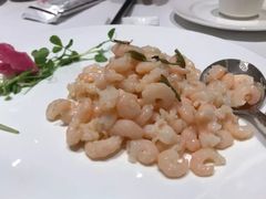 -张生记(丁香国际店)