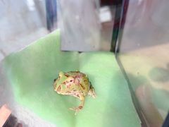 -万商花鸟市场