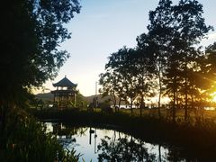 -东湖落雁景区