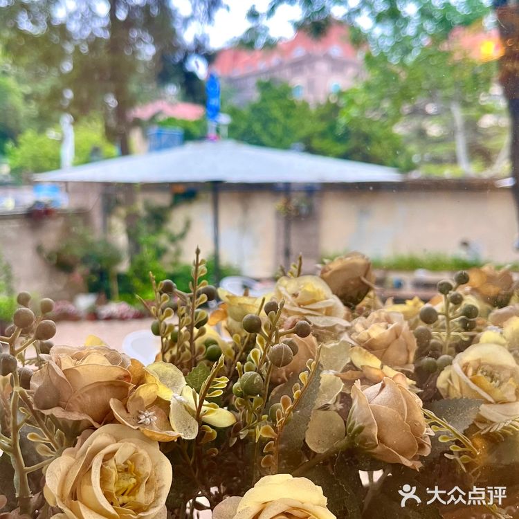 小院里的午后时光