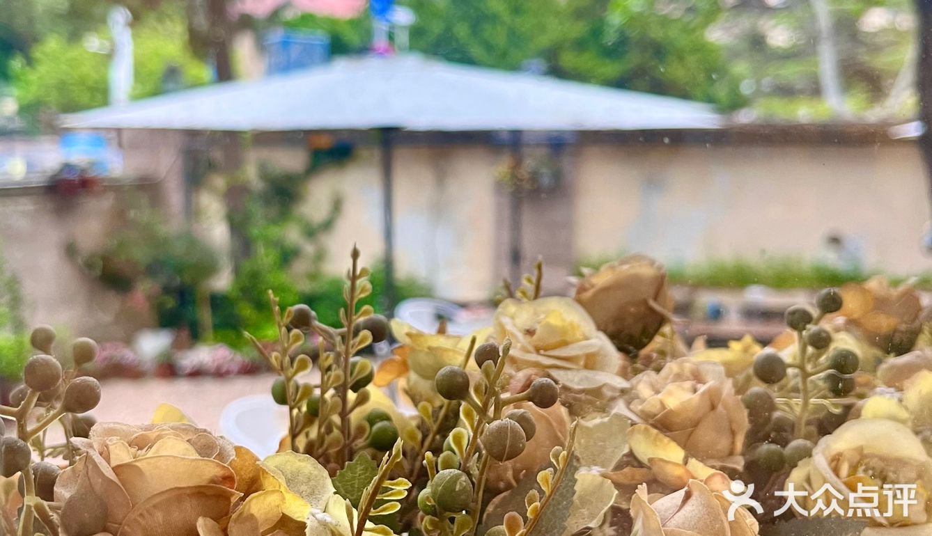 小院里的午后时光