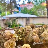 小院里的午后时光