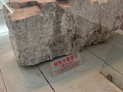 -赵州桥景区