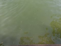 -紫霞湖公园