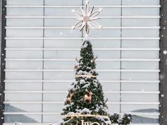 -深圳湾万象城(南山店)