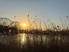 -大兴滨河森林公园