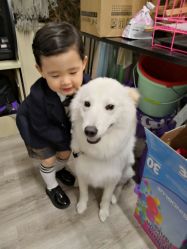 -莫奈庄园·儿童摄影馆·影视基地(江宁店)