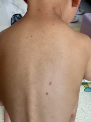 -海豹航航水育游泳中心(芳园里店)