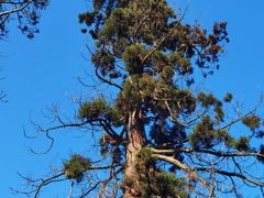 -东天目山风景区