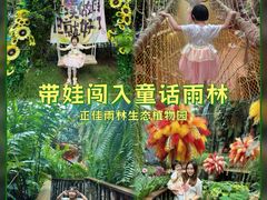 -正佳雨林生态植物园