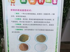-上海都市菜园