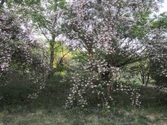 -国家植物园南园