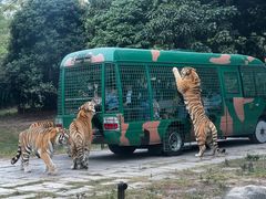 -深圳野生动物园