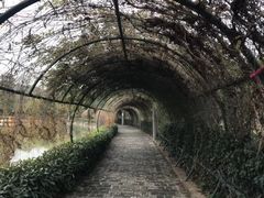 -张公山寨景区