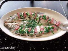 -新木器时代餐厅(太湖新天地店)
