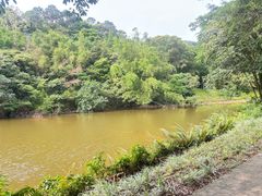 -西樵山风景名胜区-天湖公园