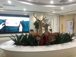点击看大图 店内环境-润泽瑞尼丝医疗美容医院