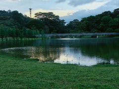-东莞植物园