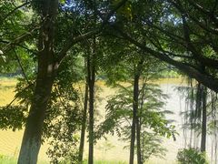 -水濂山森林公园