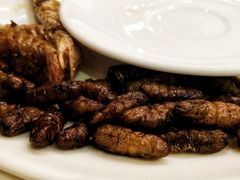 -荣誉国际酒店-云顶旋转餐厅