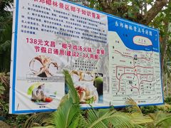 -东郊椰林