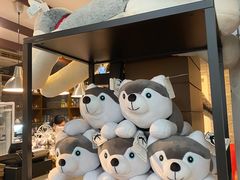 -TrueLove @ Neverland (Husky Cafe)