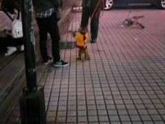 -上海南站