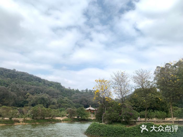 南国桃园旅游度假区图片