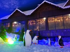 -世界之窗阿尔卑斯冰雪世界