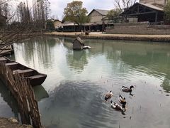 -乌村