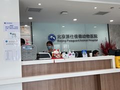 -北京派仕佳德动物医院·超导核磁·CT·神经科·骨科·内外科·急重症管理中心