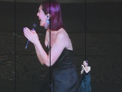 -成都金融城演艺中心