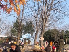 -HERRE·FARM 赫尔露营农场·团建聚会包场